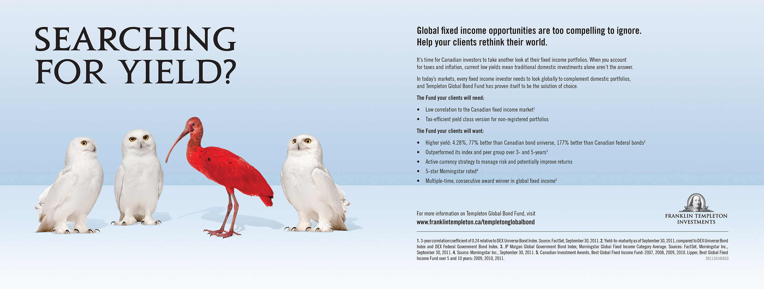 Franklin Templeton "searching for yield ad" featuring the concept of global investment opportunities using the image of three snowy owls and a scarlet ibis